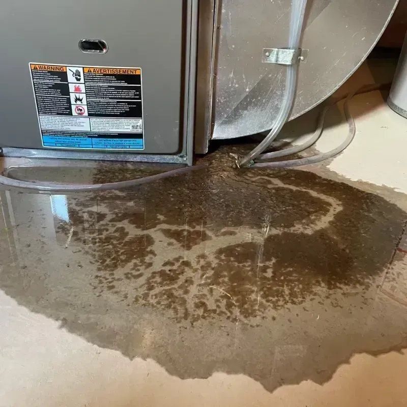 Appliance Leak Cleanup in Montrose County, CO